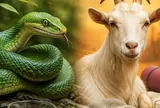 Từ nay tới hết tháng 8 dương lịch, 3 con giáp nên chú ý sức khỏe: Đừng chủ quan với những dấu hiệu nhỏ