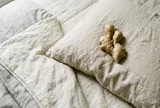 Đặt gừng cạnh gối trước khi ngủ: Biết lợi ích, nhiều người muốn làm theo