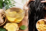 Gội đầu bằng gừng có thực sự giúp tóc mọc nhanh?
