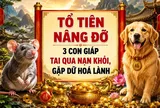 Tổ Tiên Nâng Đỡ, 3 con giáp tai qua nạn khỏi, gặp dữ hoá lành