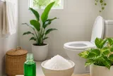 Đặt thứ này trong nhà vệ sinh giúp khử mùi hôi hiệu quả mà không cần sáp thơm, không cần nước xịt