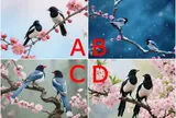 Trắc nghiệm: Trong lòng người ấy, bạn là báu vật hay người có cũng được, thiếu cũng chẳng sao?