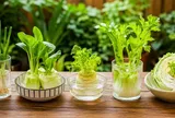 5 loại rau có thể trồng lại từ phần gốc bỏ đi, không cần mua giống