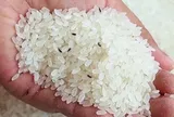 Gạo bị mọt đừng đem phơi nắng nữa, làm gấp 4 mẹo này, mọt không bao giờ xuất hiện