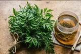 Cách uống nước lá đinh lăng tốt người hay trằn trọc, mất ngủ