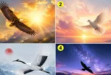 Chọn 1 hình ảnh chim bay khiến bạn ấn tượng nhất: Vũ trụ đang muốn nhắn điều gì với bạn?