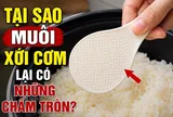 Tại sao muôi xới cơm lại có những chấm tròn?