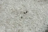 4 mẹo đuổi sạch mọt trong gạo: Làm một lần, mọt không bao giờ xuất hiện lại