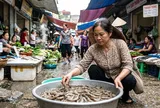 Đi chợ mua tôm nên chọn tôm cong hay tôm thẳng?