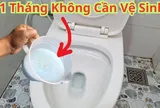 Nhà tắm cứ để 1 thứ: Hết hôi, không sợ vi khuẩn