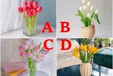 Trắc nghiệm: Bạn đứng thứ mấy trong lòng nửa kia? Chọn 1 đáp án để biết sự thật