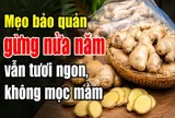 Mẹo bảo quản gừng nửa năm vẫn tươi ngon, không mọc mầm