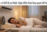 Ngủ với điều hòa hay quạt tốt cho sức khỏe hơn? Bác sĩ tiết lộ sự thật ít ai ngờ