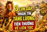 3 con giáp nhận tin tăng lương, Tiền thưởng về liên tục
