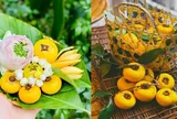 Tại sao quả thị ăn được nhưng người ta chỉ để ngửi chứ không ăn?