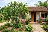 2 cây tuyệt đối đừng trồng trước cửa kẻo tán lộc, dời ra sau nhà lại càng ở càng giàu!