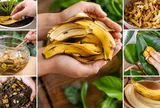 Vỏ chuối đừng vội bỏ, 6 cách tận dụng đơn giản mang lại nhiều công dụng