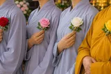 Vì sao lễ Vu La,n nhà sư cài hoa hồng vàng, Phật tử dùng đỏ, hồng, trắng?
