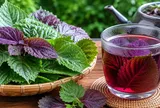 Nên ăn lá tía tô sống hay nấu tía tô uống nước tốt hơn?