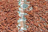 Món xưa "nhà nghèo" ăn đến chán ngán, nay thành đặc sản nổi tiếng giá 170.000 đ/kg, người thành phố ưa chuộng