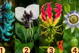 Chọn 1 bông hoa để xem đồng nghiệp đang đánh giá năng lực bạn thế nào
