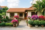 Nhà có sân nhỏ nên trồng cây gì? 5 loại cây vừa dễ sống vừa tạo cảm giác nhà cửa đủ đầy