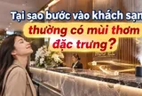 Tại sao bước vào khách sạn thường có mùi thơm đặc trưng?
