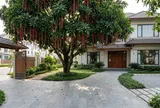 Trồng cây lộc vừng trước nhà có tốt không? Nhiều gia đình đặt sai vị trí mà không biết
