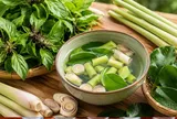 Cách dùng 3 loại rau gia vị để gội đầu: Hỗ trợ sạch gàu, tóc mượt và chăm tóc con