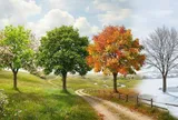 Trắc nghiệm: Chọn 1 cái cây bạn thích nhất sẽ nói lên nội tâm bên trong bạn