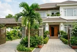 Vì sao nhiều gia đình thích trồng cây cau trước cửa? Không chỉ vì đẹp