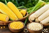 Ngô ngọt vàng và ngô nếp: Loại nào giàu dinh dưỡng hơn?