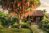 3 vị trí trồng lộc vừng mang tới tài lộc quanh năm: Đó là vị trí nào?