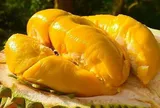 Ai không nên ăn sầu riêng?