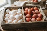 Mua trứng gà nên chọn trứng vỏ màu trắng hay màu đỏ?