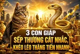 3 con giáp sếp thương cất nhắc, khéo léo thăng tiến nhanh