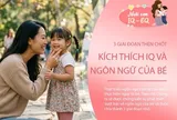 Đừng bỏ qua 3 giai đoạn then chốt trong những năm đầu đời, bởi đây là lúc não bộ và ngôn ngữ của bé phát triển mạnh