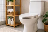 Nên đóng hay mở nắp bồn cầu sau khi dùng xong?