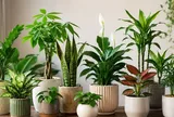 12 con giáp chú ý chọn cây cảnh phong thủy: không chỉ chọn loại cây, cần chú ý màu sắc và hình dáng chậu