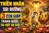 Thiên Nhãn soi đường, 3 con giáp tránh được tai bay vạ gió