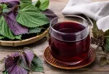Uống tía tô nhớ tránh những sai lầm này, nhiều người đang mắc mà không hay