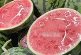 Vì sao người bán hoa quả luôn bổ đôi quả dưa hấu để phía trên?