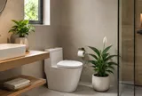 Tại sao nên trồng chậu cây xanh trong nhà vệ sinh?