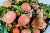 Loại quả mọc bờ rào xưa chín rụng đầy nay thành đặc sản 100.000 đ/kg, trồng một lần thu hoạch nhiều năm, người thành phố ưa chuộng