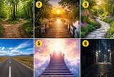 Chọn một con đường để xem bạn thường quyết định bằng lý trí hay cảm xúc?