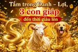 Tắm trong Danh - Lợi, 3 con giáp đến thời giàu lên