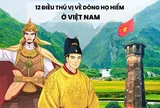 Dòng họ nào hiếm ở Việt Nam, có Thái úy tài giỏi, công tư phân minh, hết lòng phò tá vua nhà Lý trong sử Việt?