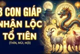 31/8 - 6/9: Có 3 tuổi là con cưng của Thần Tài, cát tinh chiếu mệnh