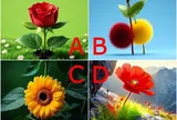 Trắc nghiệm: Chọn một bức tranh, đoán vị thế của bạn trong gia đình sau khi kết hôn