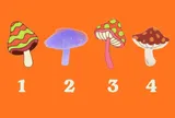 Trắc nghiệm tâm lý: Bằng trực giác, bạn nghĩ cây nấm nào có độc?